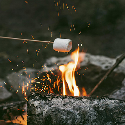Havan